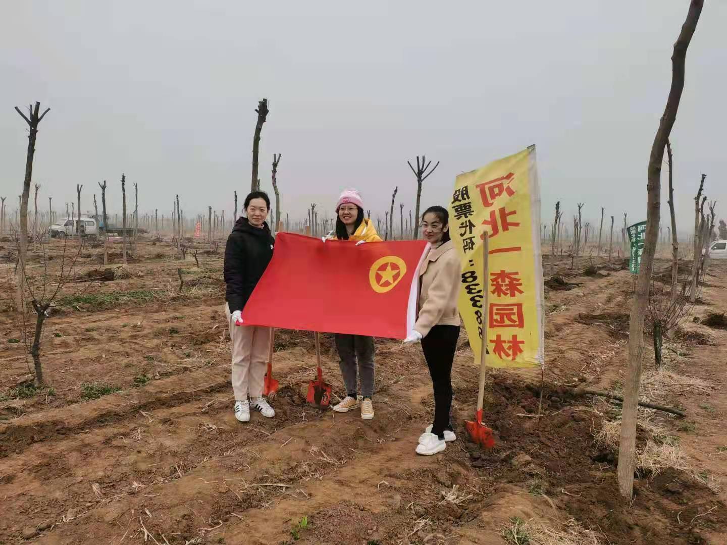 一森公司配合贊皇縣有關(guān)單位開展義務(wù)植樹活動(dòng)